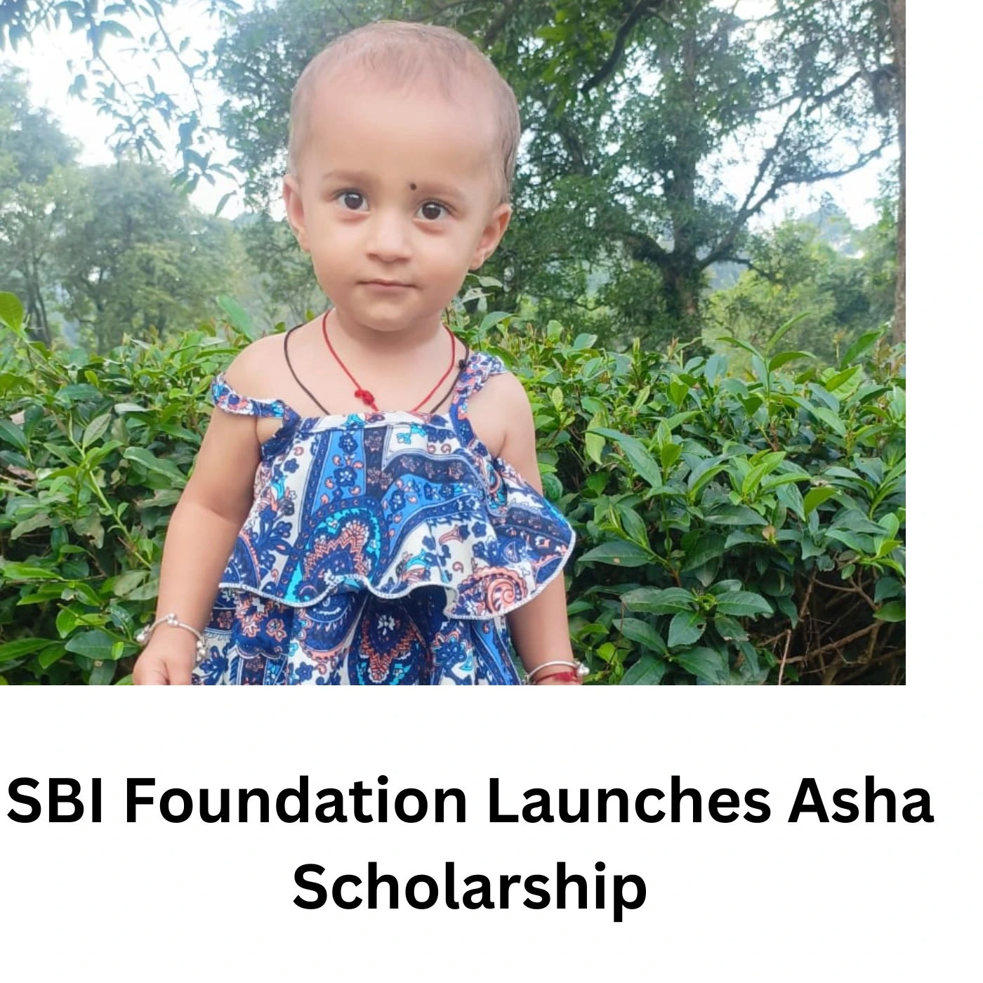 SBI Foundation Launches Asha Scholarship